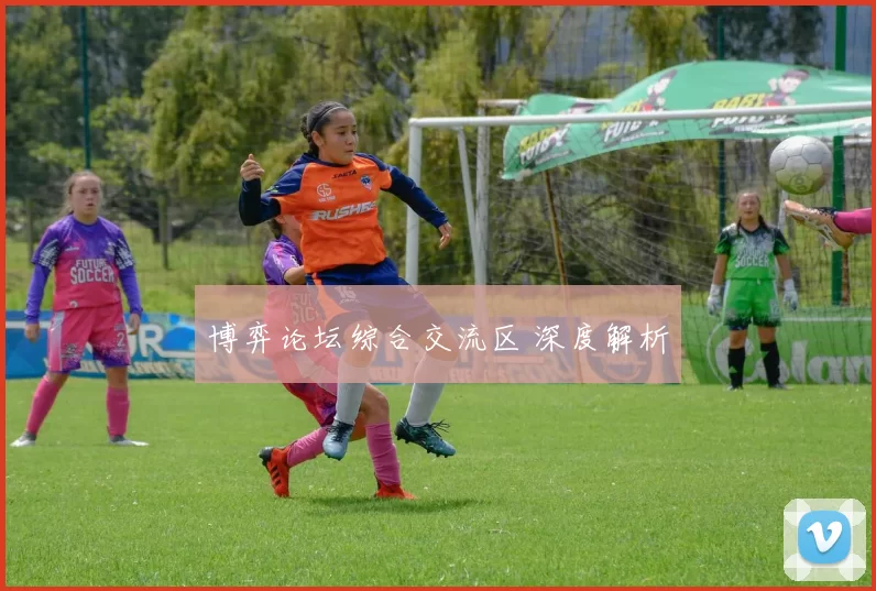 博弈论坛综合交流区 深度解析