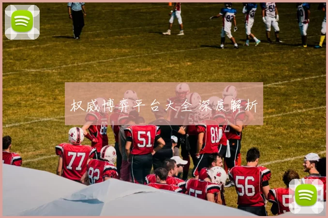 权威博弈平台大全 深度解析