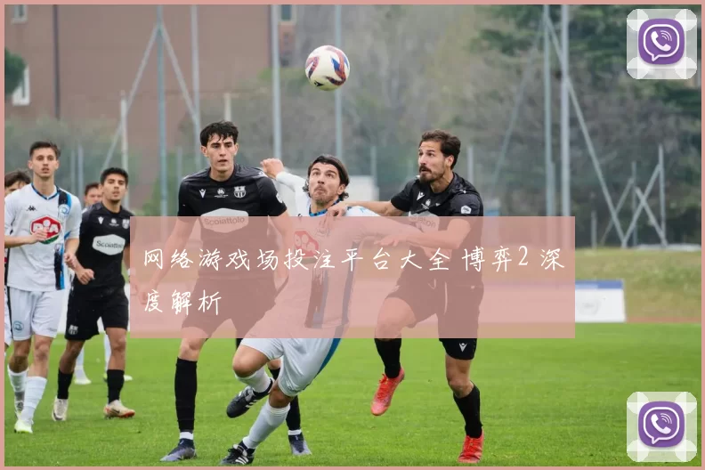 网络游戏场投注平台大全 博弈2 深度解析