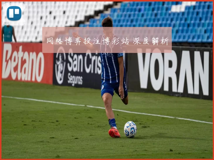 网络博弈投注博彩站 深度解析