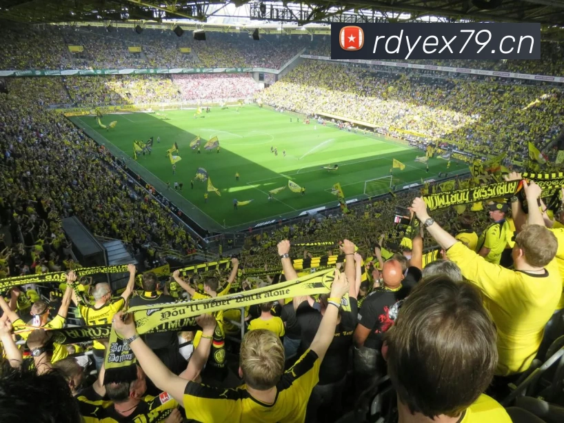 元游棋牌APP 封面图